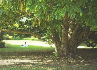 Parcs-Paris